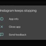 Android system dialog showing "Instagram keeps stopping" with three options: App info (info icon), Close app (X icon), and Send feedback (speech bubble icon)